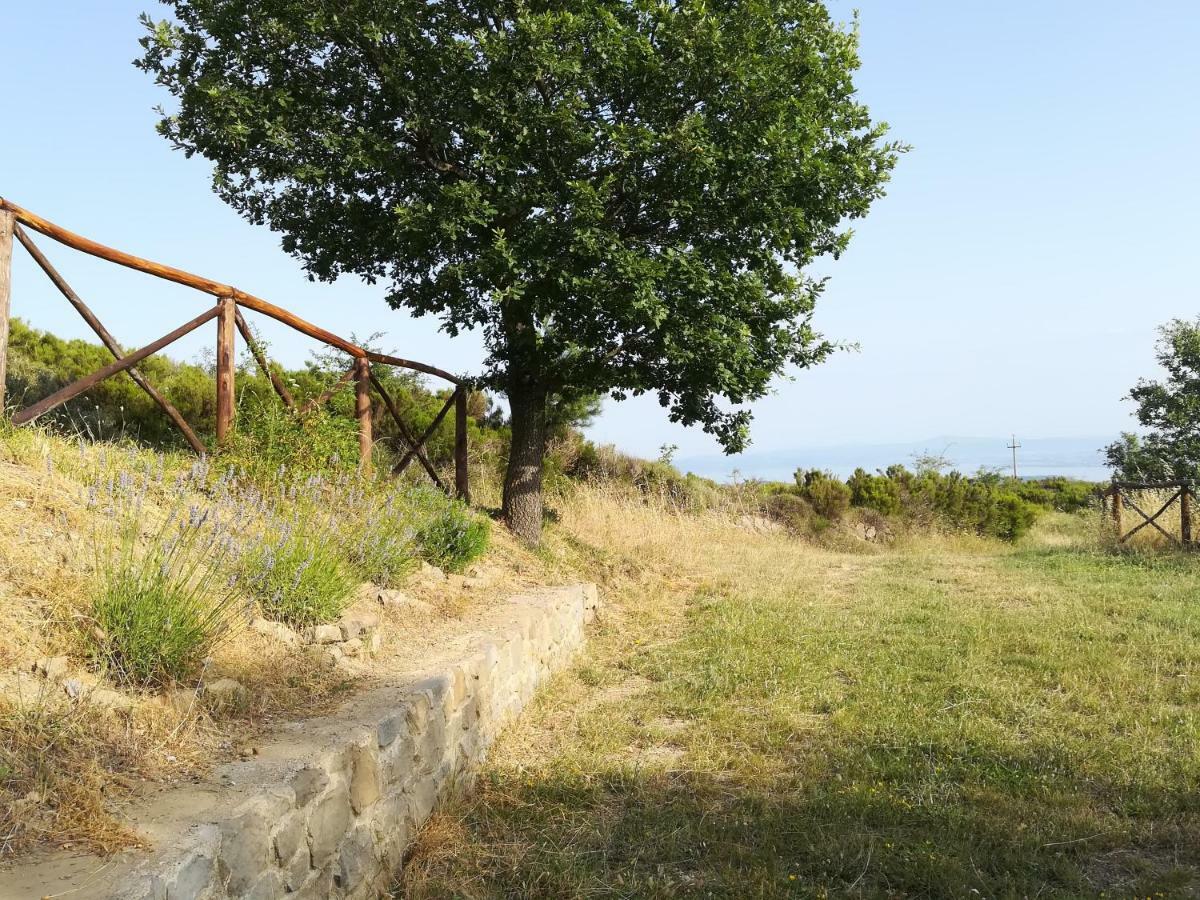 La Casa Gialla Belvedere Cortona Luaran gambar